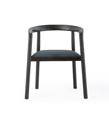 Rosewood Version Modern Chair Furniture Black Color For Home